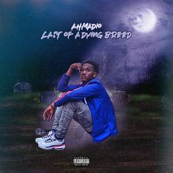 Run the Streetz (feat. TraeFr3sh & Kim McCoy)