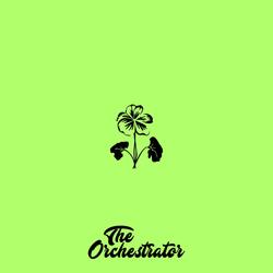Nasturtium