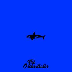 Not A Whale, A Killer