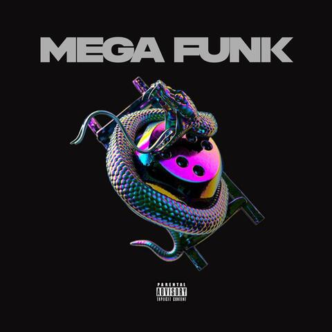 MEGA FUNK PLAYBOYZIN DA ZONA SUL