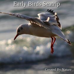 Early Birds Seatrip Chapter Four