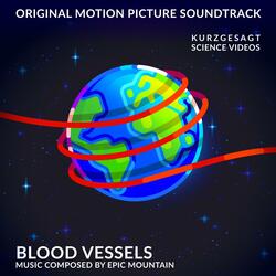 Blood Vessels