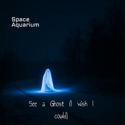 See a Ghost (I wish I could)