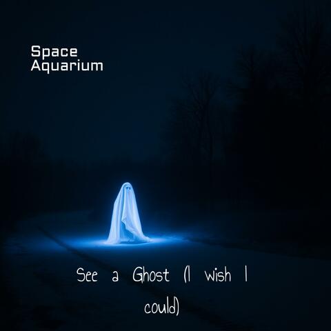 See a Ghost (I wish I could)