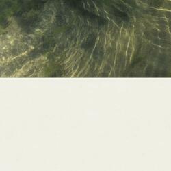 Distance