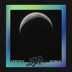Perfect World