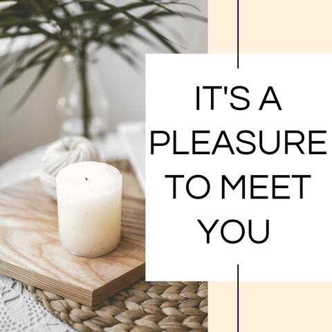 IT`S A PLEASURE TO MEET YOU