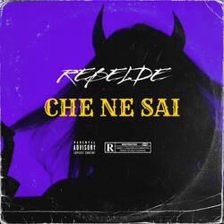 CHE NE SAI