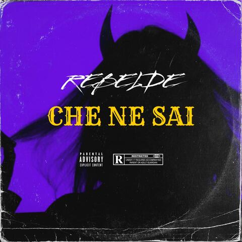 CHE NE SAI