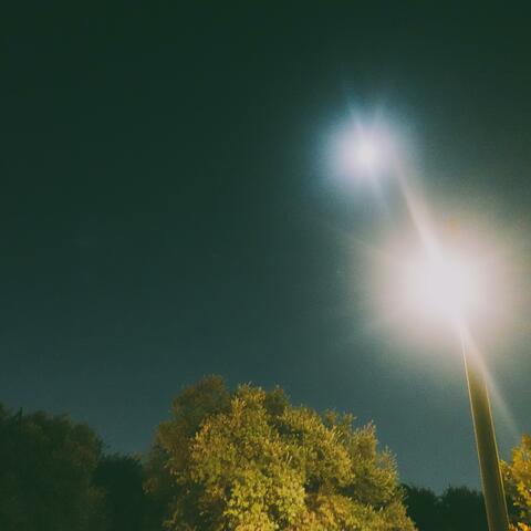 Looking Up