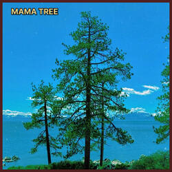 Mama Tree (Live at Dave's)