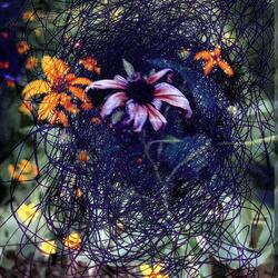 I'm So Heavy!(Double Baked)