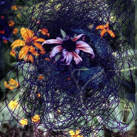 Fucking Sucks(Chago)