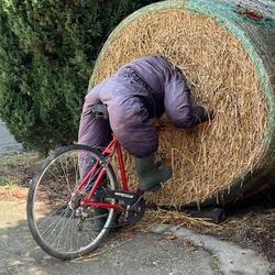 Hi, I'm Syndaco, it's the 13 of August and I just made this song in a park at Volpiano, Italy. I decided to publish this song, now. Thank you.