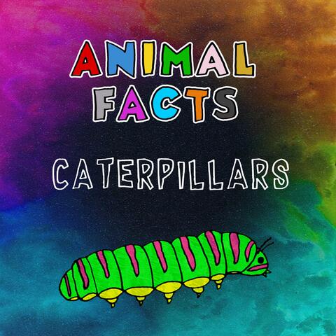 Caterpillars
