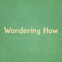 Wondering How