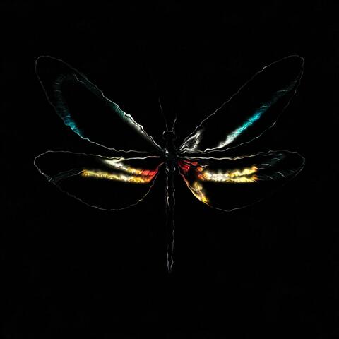 POURQUOI LES PAPILLONS ?