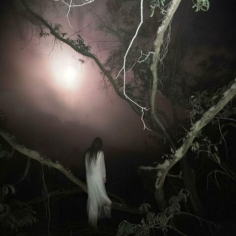 After Nightfall