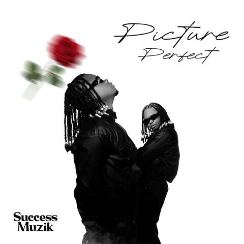 Picture Perfect