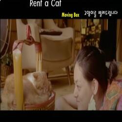 Rent a Cat