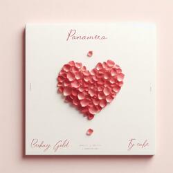 Panamera (feat. Ty cube)