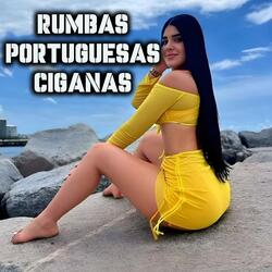 RUMBA PORTUGUESA 2k25 DJ CANASTERO DJ MANZANO CON SALERO