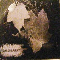 Blasting Holes In The Night Until She Bleeds Sunlight (feat. Eyes Like Autumn)