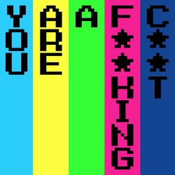 You Are A Fucking Cunt