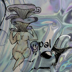 opaleyesd