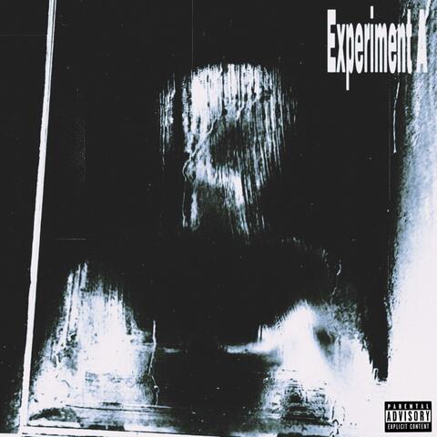 Experiment A