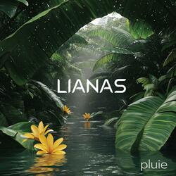 Pluie (Noise)