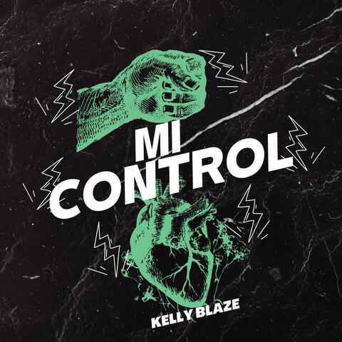 Mi Control
