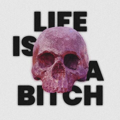 Life is a Bitch