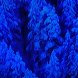 Knee-deep In Snow