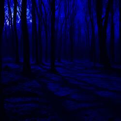 VIII: A Place In The Shadows
