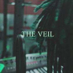 THE VEIL (feat. figgy)