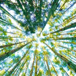 Love Will Set You Free