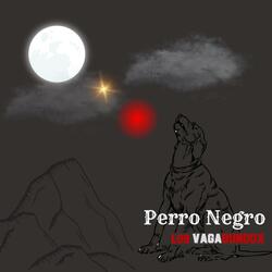 Perro Negro