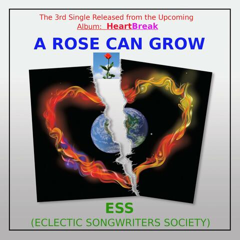 A Rose Can Grow