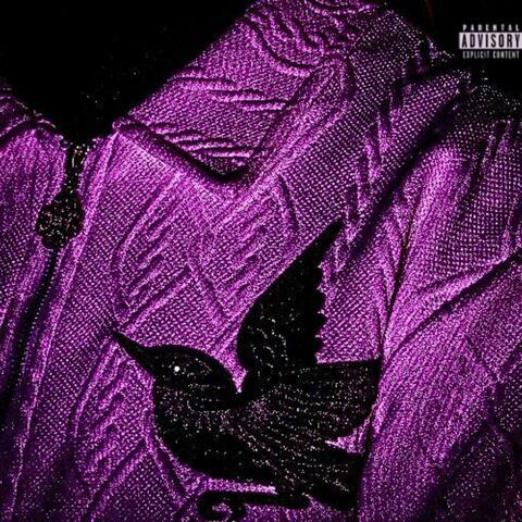 raven