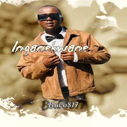Bulo817 (Inganekwane) (Radio Edit)