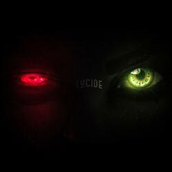 Lucide