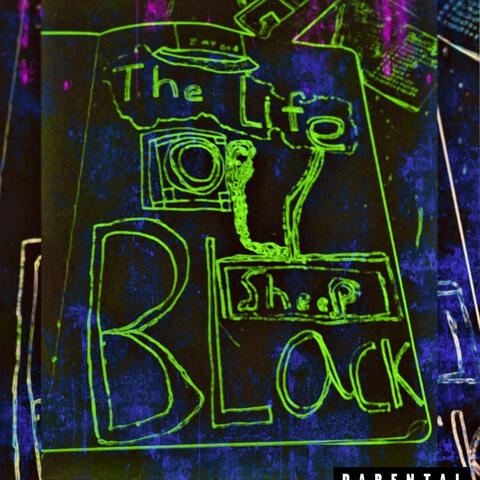 Zayygod The Life of the Blacksheep