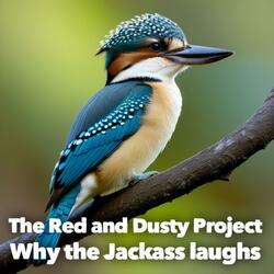 Why the Jackass laughs