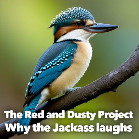 Why the Jackass laughs