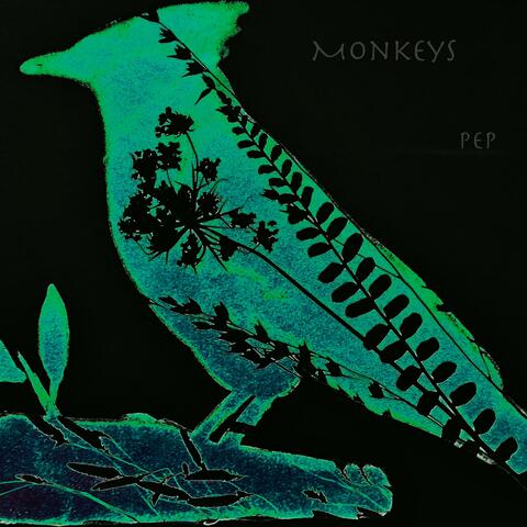 Blind Bird
