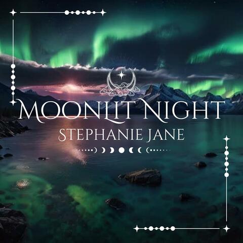 Moonlit Night
