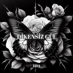 Dikensiz Gül