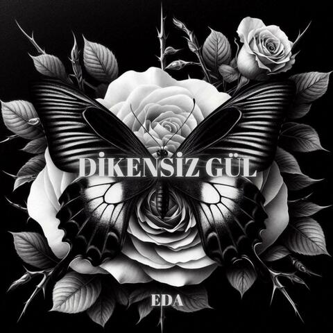 Dikensiz Gül