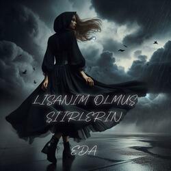 Lisanım Olmuş Şiirlerin